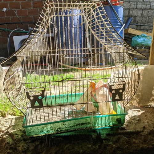 Bird cage used, medium size