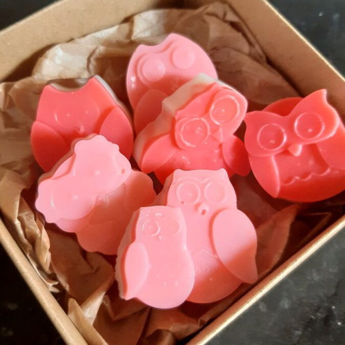 Wax melts owl shapes like new, cheesecake scent, pack of 4