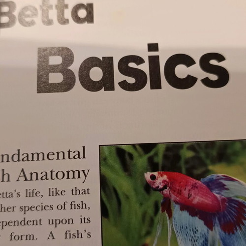 The Betta book like new, care guide for Siamese fighting fish