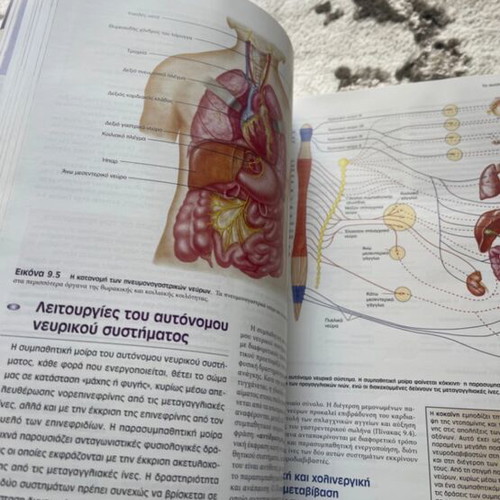 Book Human Physiology like new
