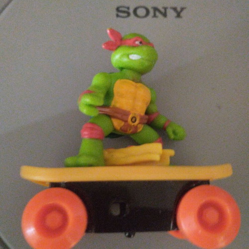 Turtlepower skate used