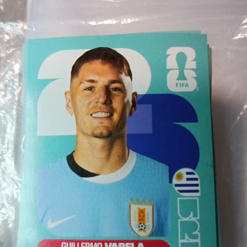 Panini FIFA World Cup 2026 sticker like new