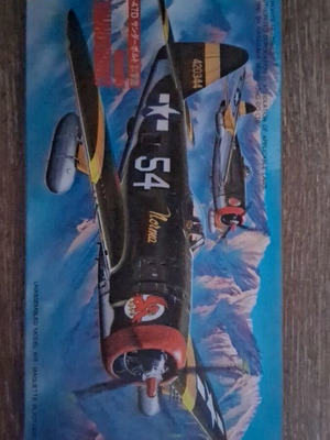 Hasegawa WW2 plastic model airplane