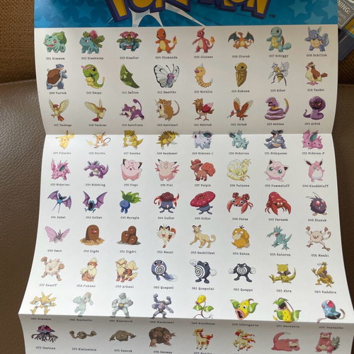 Pokémon The Ultimate Guide brand new, German language