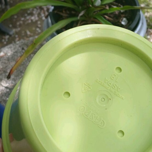 IKEA vase and non-IKEA planter new, with 2 usage ways