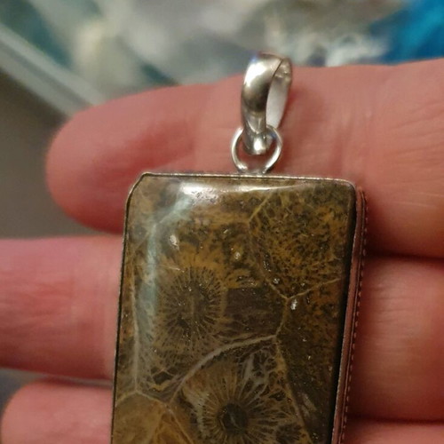 Fossil coral pendant necklace new, silver plated, handmade