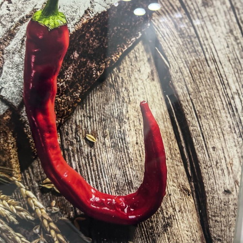 Glass painting Hot Peppers new, 20x20 cm, Glasspik Germany