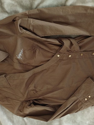Lynne brown shirt like new
