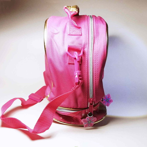 Winx Club Lunch Bag new with strap