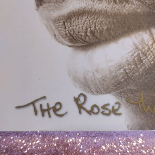 The Rose That Grew From Concrete book like new, English