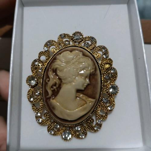 Cameo type vintage pin like new