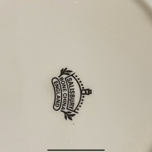 Salisbury England bone china tea set 2 pcs in excellent condition