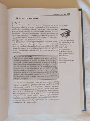 Multimedia technology like new, theory and practice