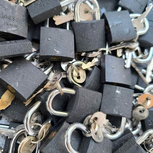 Blossom padlock with 2 keys