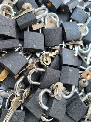 Blossom padlock with 2 keys