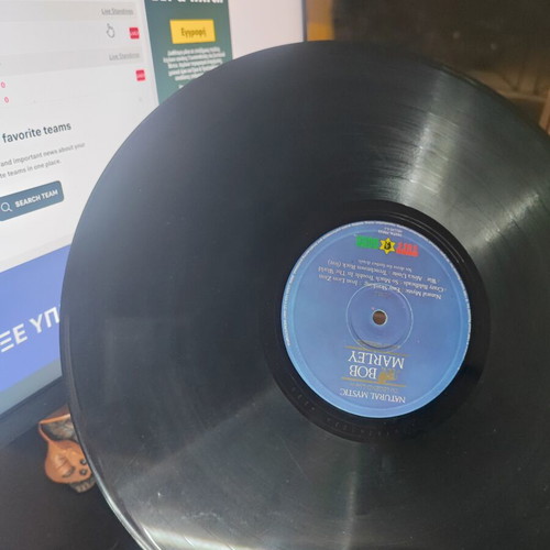 Bob Marley & The Wailers Natural Mystic vinyl record used