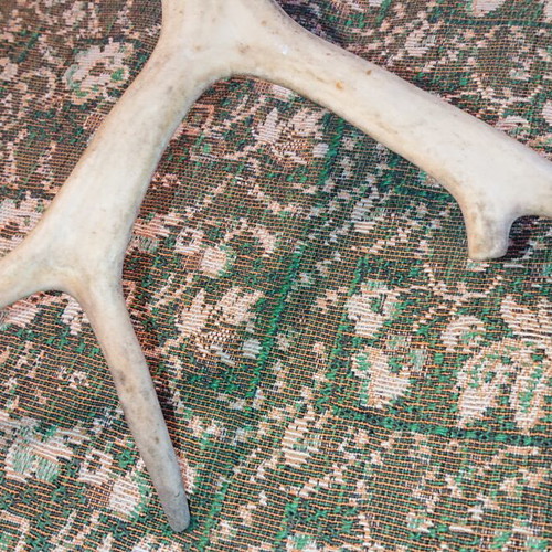 Northern deer antler like new, size as shown