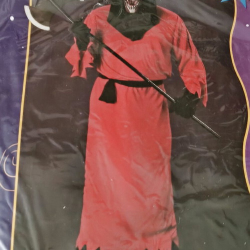 Phantom adult carnival costume new