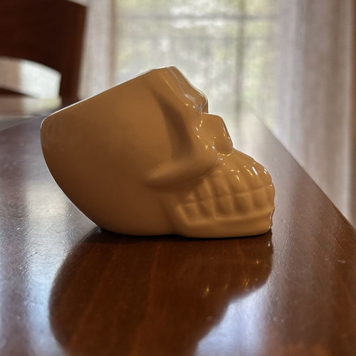 Ceramic Skull Planter like new for small plants