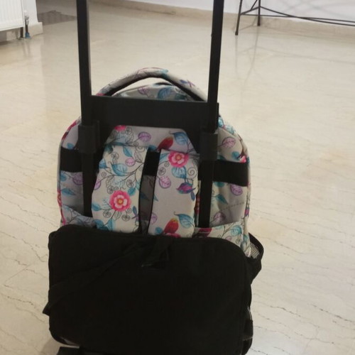 School trolley bag like new for girls with handle and shoulder straps
