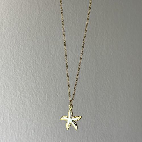 Stainless steel necklace with starfish pendant, handmade minimal