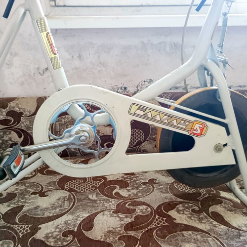 Balkan S Retro Exercise Bike, vintage Bulgarian fitness equipment