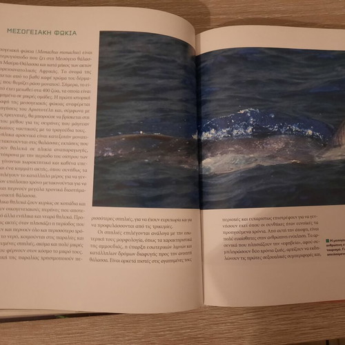 The Giant Panda and Endangered Species book