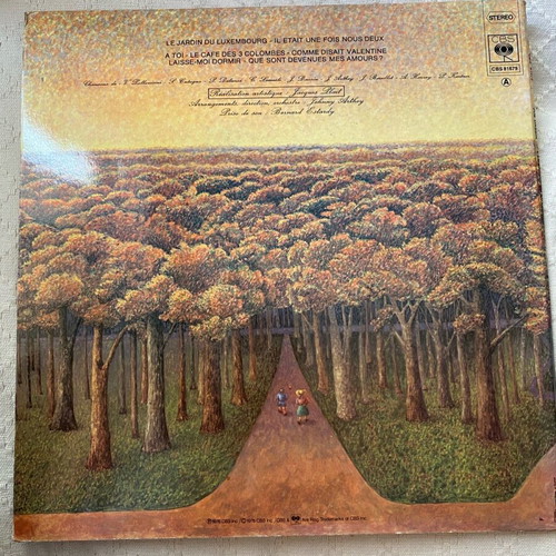 Joe Dassin Le jardin du Luxembourg vinyl record used