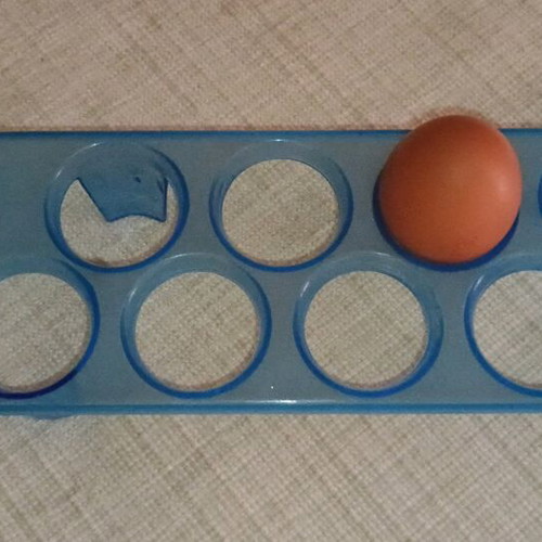 Egg holder 9 positions table display plastic new