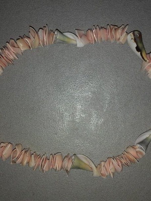 Necklace made of natural shells new, pink and orange