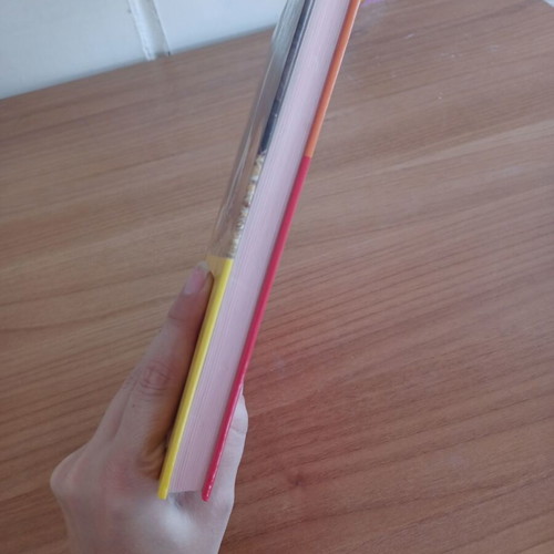 Dog Training Book in German like new