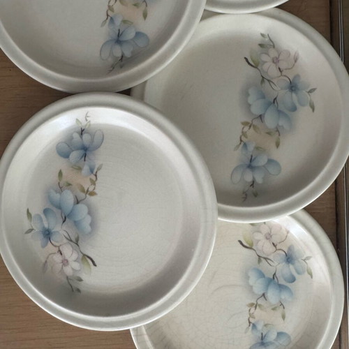 Vintage pasta plates with beautiful design like new