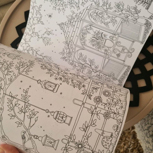 Secret Garden Coloring Book like new