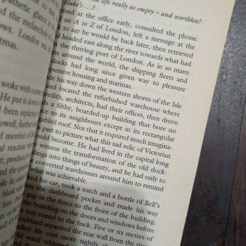 The Echo by Minette Walters used book in English