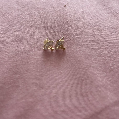 Stainless steel earrings