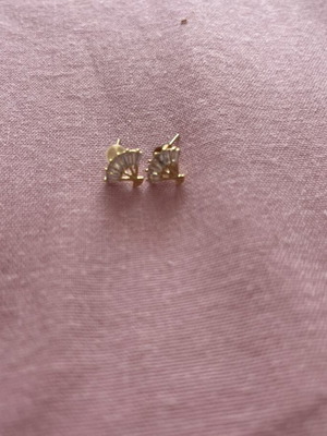 Stainless steel earrings