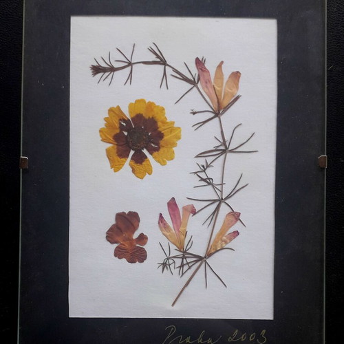 Picture frames used set of 2 with dried flowers from Prague