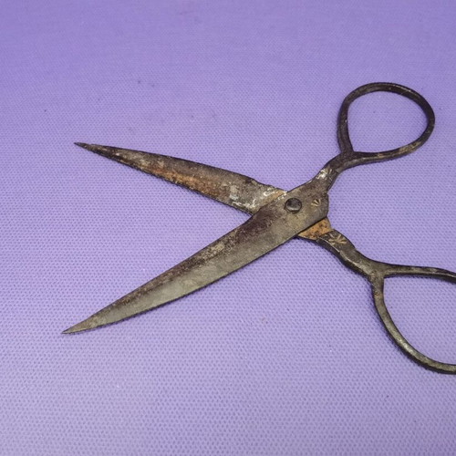 Old antique scissors like new