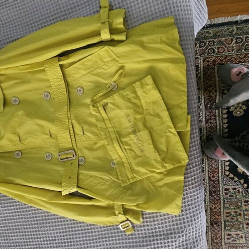 Burberry coat like new, lemon color, size S