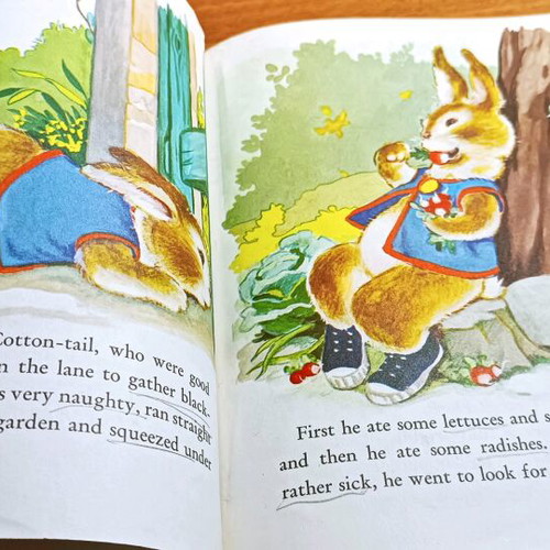 The Tale of Peter Rabbit used, in English