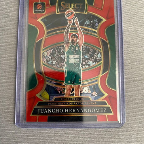 Panathinaikos 2025-26 Panini Euroleague card lot (13 cards)