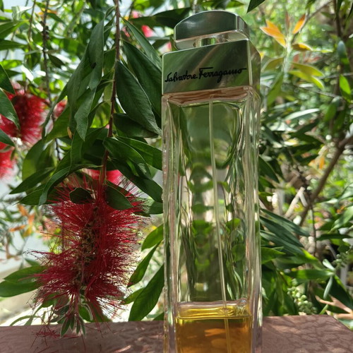 Salvatore Ferragamo pour Femme Eau de Parfum 100ml used vintage 2009
