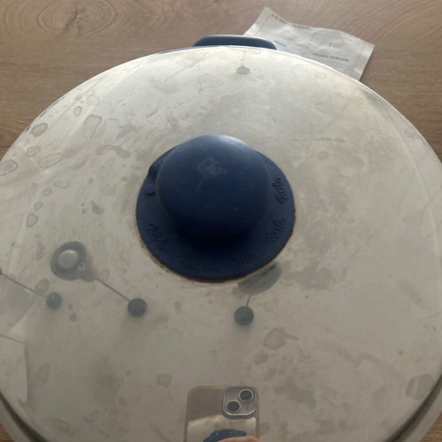 Fissler pot