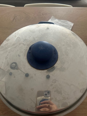 Fissler pot