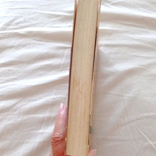 Book Paulo Coelho The Warrior of the Light Manual used