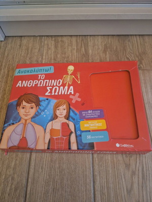Magnetic board used for learning the human body with 56 magnets