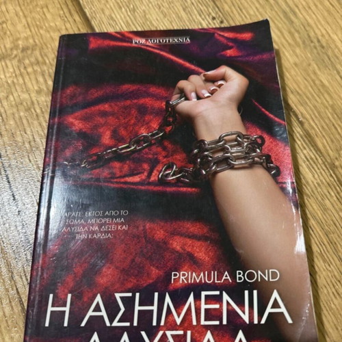 The Silver Chain book used