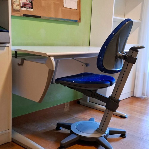 Moll Desk and Ergonomic Chair Set used, Large Bookshelf, Germany