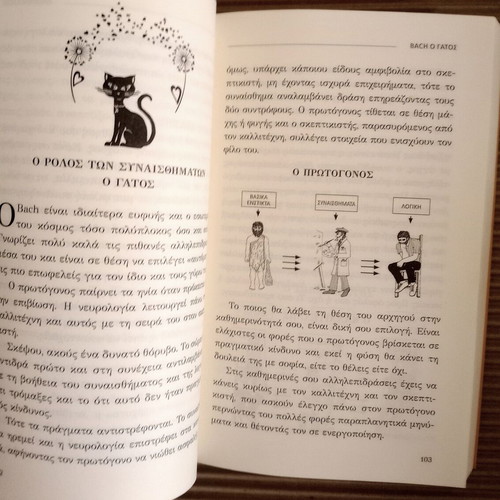 Bach the Cat like new, the art of communication