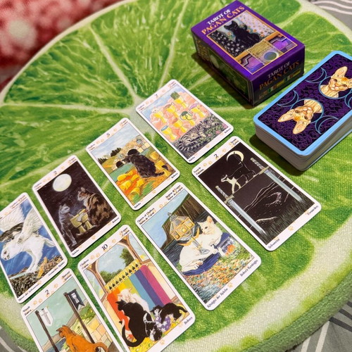 Tarot of Pagan Cats deck like new